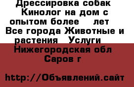 Дрессировка собак (Кинолог на дом с опытом более 10 лет) - Все города Животные и растения » Услуги   . Нижегородская обл.,Саров г.